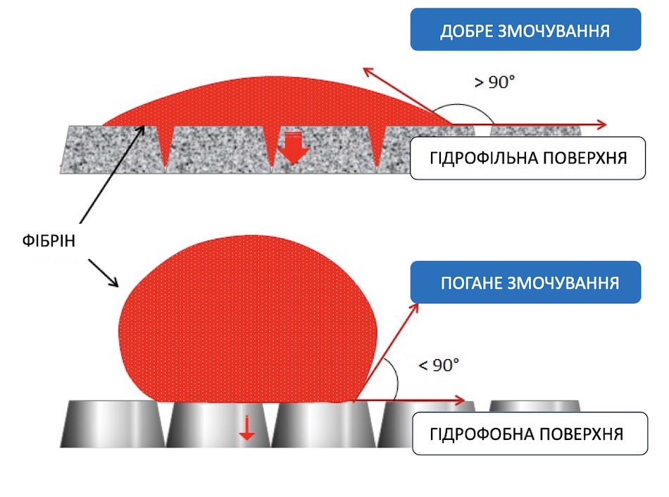 Різниця взаімодії фібрину згідрофільними та гідрофобними поверхнями.